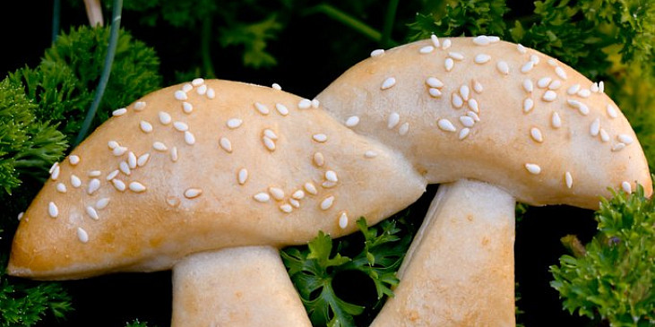 Hříbky, houby z kynutého těsta