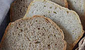 Jednoduchý chléb pro začátečníky (tmavý) (Chleby pro začátečníky - tmavý i světlý)