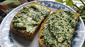 Veganská jarní pomazánka z medvědího česneku