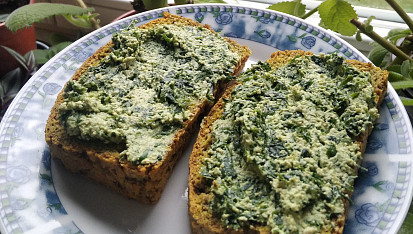 Veganská jarní pomazánka z medvědího česneku