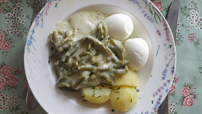 Fazolky na smetaně, Fazolky na smetaně.