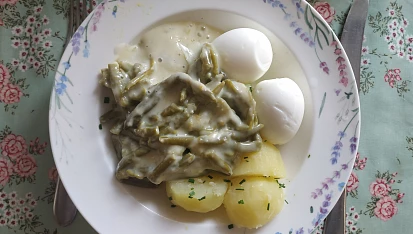 Fazolky na smetaně, Fazolky na smetaně.
