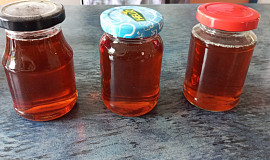 Pampeliškový med