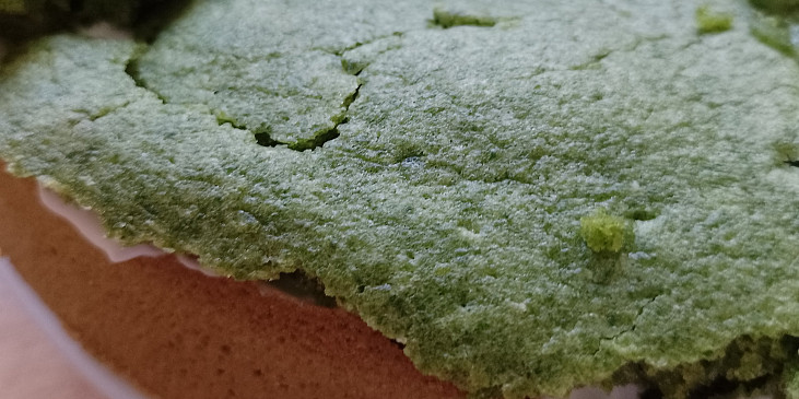 Špenátový koláč se smetanovým krémem