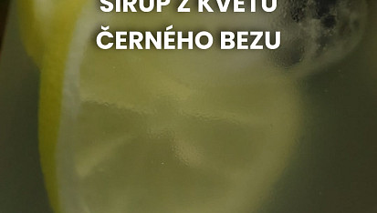 Sirup z květů černého bezu