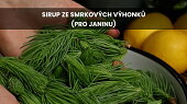 Sirup ze smrkových výhonků (pro Janinu)