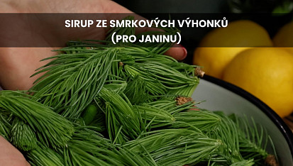 Sirup ze smrkových výhonků (pro Janinu)