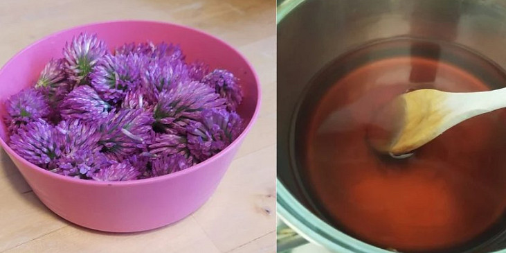 Zdravý jetelový sirup
