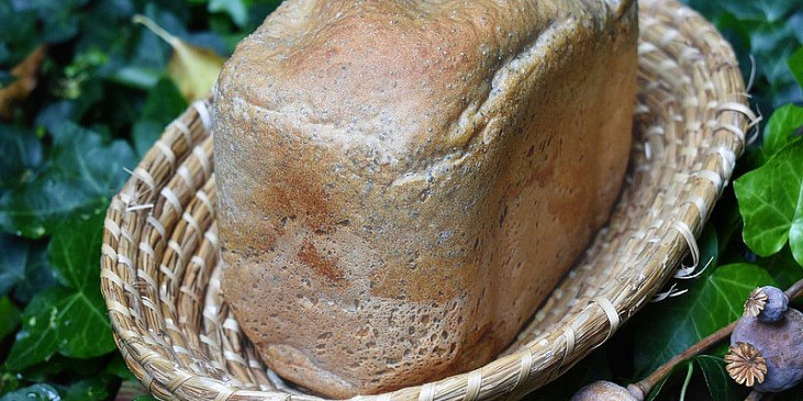 Makový tmavý pšenično-žitný chléb