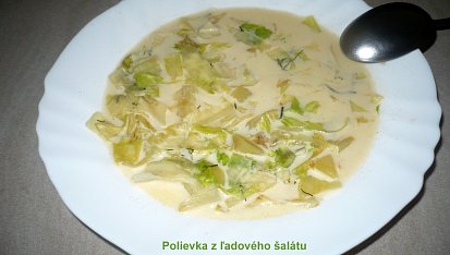 Polévka z ledového salátu, polévka z ledového salátu-