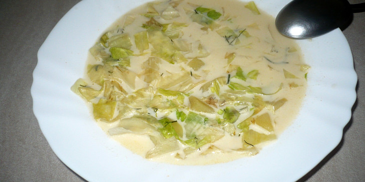 Polévka z ledového salátu (polévka z ledového salátu-)