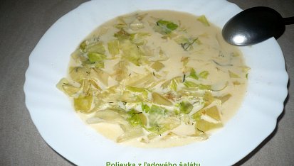 Polévka z ledového salátu, polévka z ledového salátu-