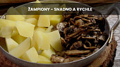 Žampiony - snadno a rychle