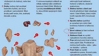 Kuřecí horní stehna v marinádě, pečená na cibuli a mrkvi v pečence