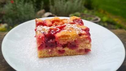 Rybízová bublanina-jednoduchá, Bublanina s medem a třtinovým cukrem (proto ta barva) na velkém plechu.