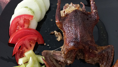 Holoubata s nádivkou, Naše holoubátko vypadá trochu vysušeně, ale i tak bylo dobré