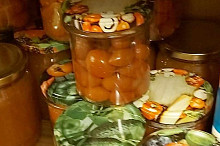 rajčata na všechno a do všeho  ... super recept děkuji