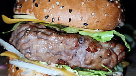 Domácí burger (gril)