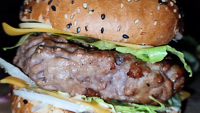 Domácí burger (gril)