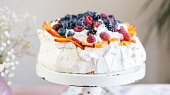 Dort Pavlova
