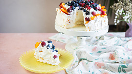 Dort Pavlova