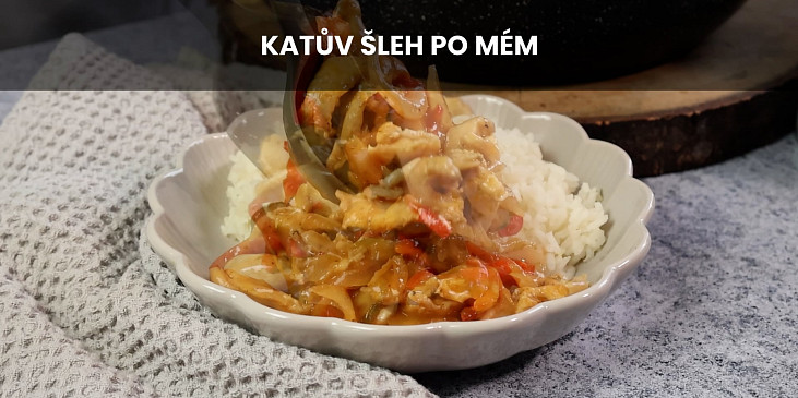 Katův šleh po mém