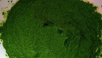 Pesto z medvědího česneku