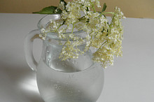 Sirup z černého bezu