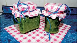 Pesto z medvědího česneku
