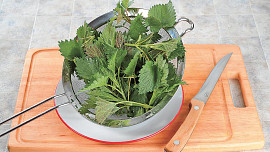 Kopřivová nádivka