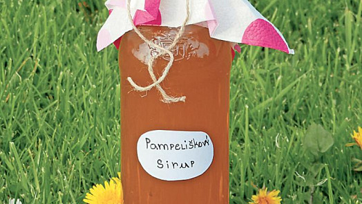 Pampeliškový sirup se sedmikráskami