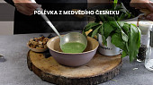 Polévka z medvědího česneku