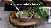 Polévka z medvědího česneku