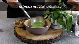 Polévka z medvědího česneku