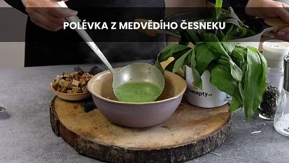 Polévka z medvědího česneku