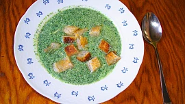 Kopřivová polévka