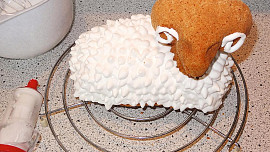 Beránek se sněhovým kožíškem