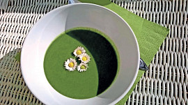 Špenátová polévka