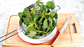 Kuřátko s kopřivami