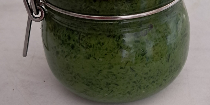 Pesto z medvědího česneku a vlašských ořechů (Moje první pesto)