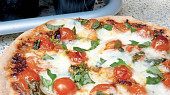 Pizza Margherita
