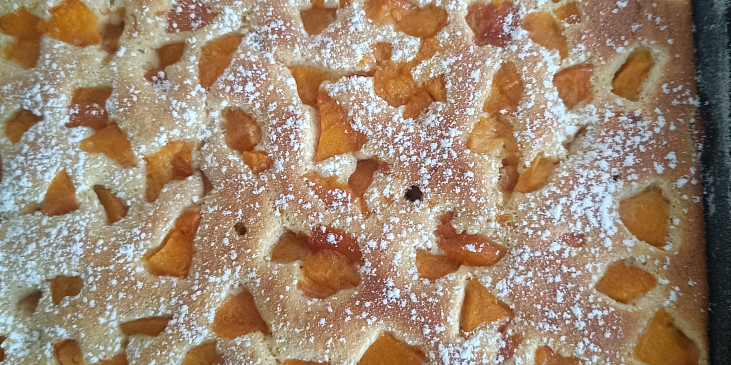 Buchta s limonadou a meruňky