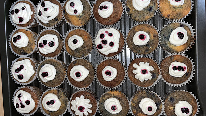 Borůvkové muffiny, Nejlepší a nejhezčí muffiny na světě
