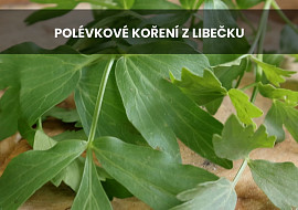 Polévkové koření z libečku