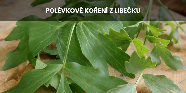Polévkové koření z libečku