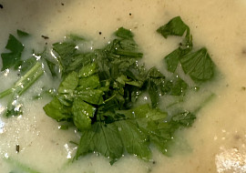 Květáková polévka (KVĚTÁKOVÁ ♥️)