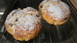 Tvarohový mazanec s kandovanou kůrou