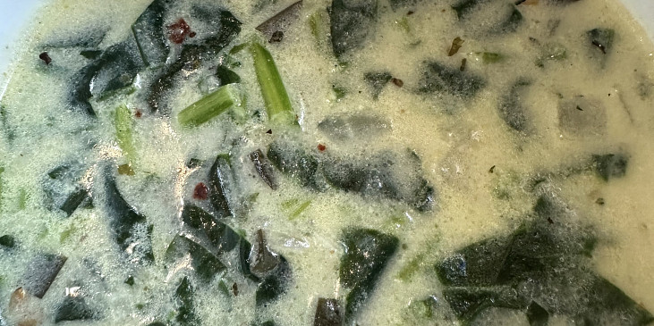 Špenátová polévka (Spenatova)