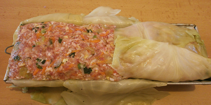 Velká holubka