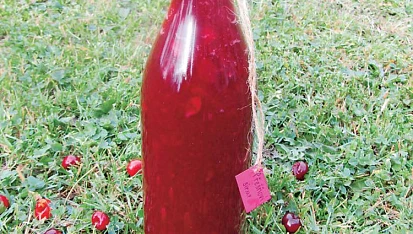 Domácí třešňový sirup